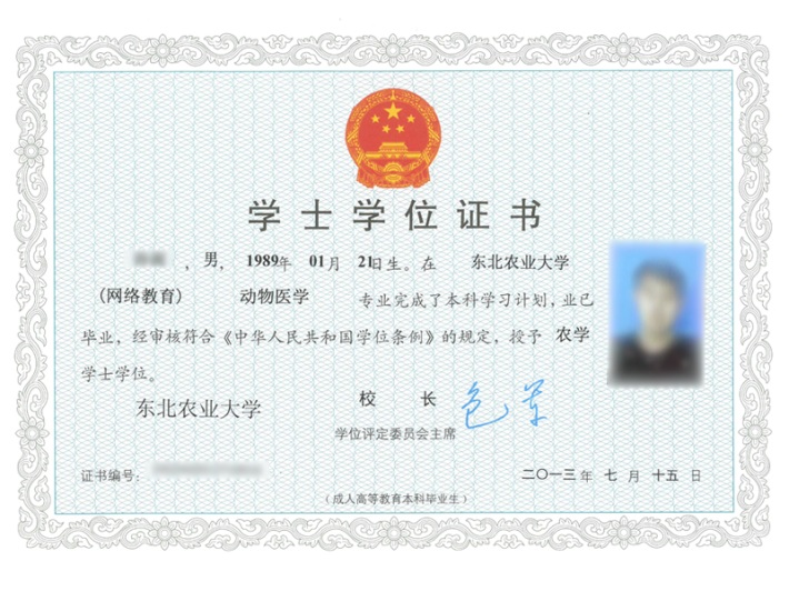 東北農(nóng)大專(zhuān)升本有什么專(zhuān)業(yè)可以報(bào)