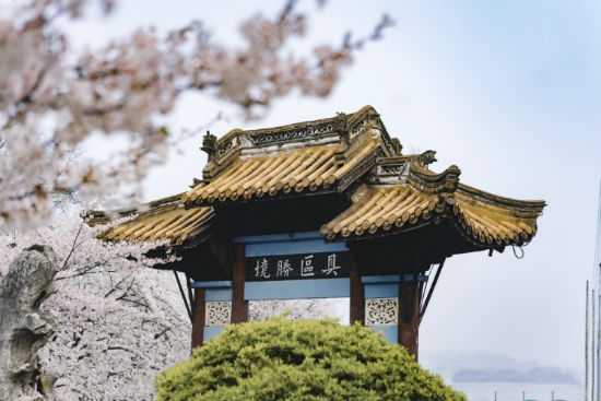 淮安專升本哪個(gè)培訓(xùn)機(jī)構(gòu)好？靠譜嗎？