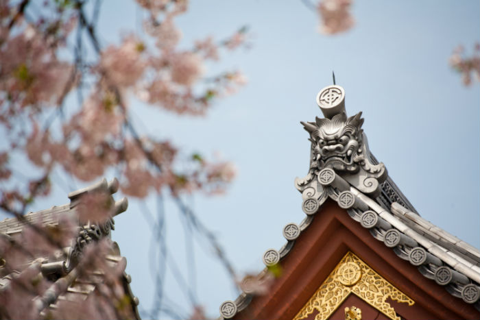 平頂山提升學(xué)歷方式哪種好？學(xué)歷提升招生學(xué)校有多少？
