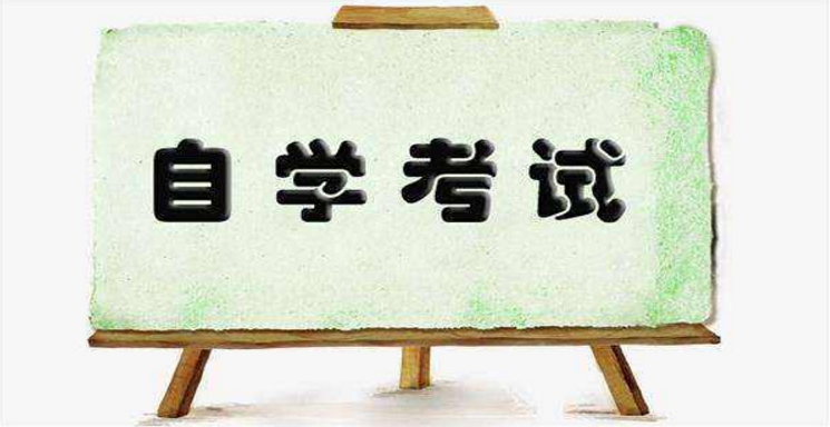 自考如何高效背書？有什么經(jīng)驗技巧嗎？