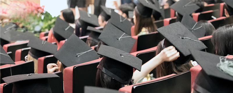 東北農業(yè)大學網絡教育什么學歷能免試入學