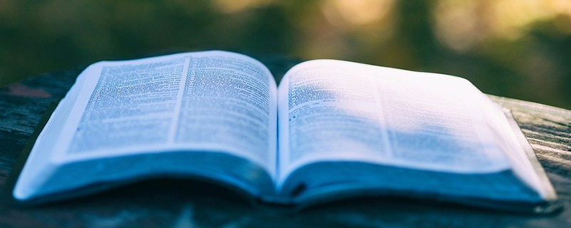 網(wǎng)絡教育報名成功如何查詢