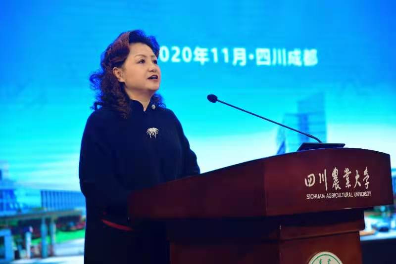 立足新起點(diǎn) 把握新要求 開啟新征程 ——學(xué)校2020年繼續(xù)教育年會(huì)召開