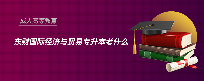 東財(cái)國(guó)際經(jīng)濟(jì)與貿(mào)易專(zhuān)升本考什么