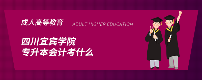 四川宜賓學(xué)院專升本會計(jì)考什么