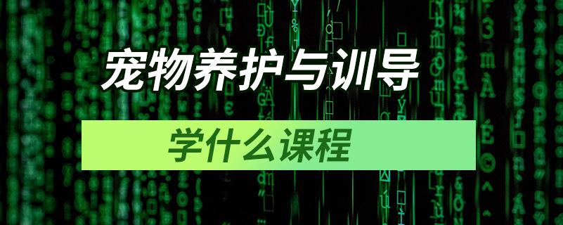 寵物養(yǎng)護與訓導(dǎo)學什么課程