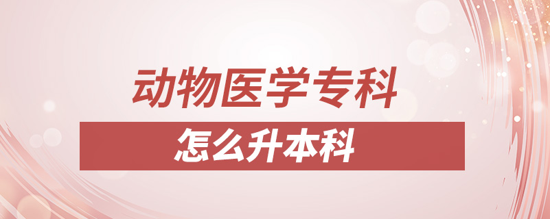 動(dòng)物醫(yī)學(xué)?？圃趺瓷究? /></p><p style=