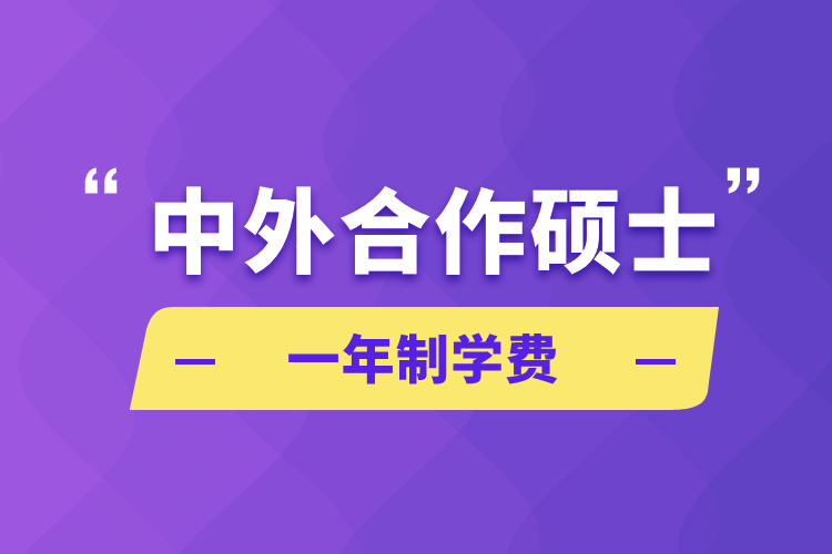 中外合作碩士一年制學費