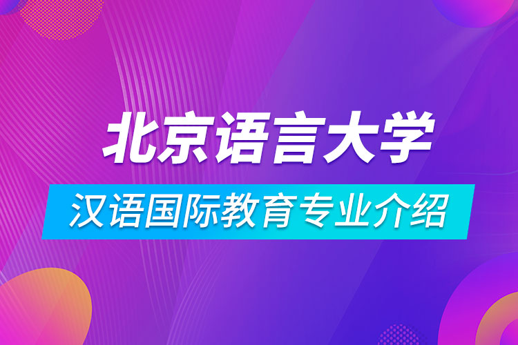 北京語(yǔ)言大學(xué)漢語(yǔ)國(guó)際教育專業(yè)介紹