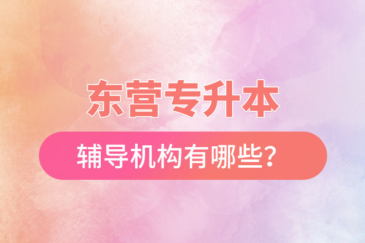 東營專升本輔導機構有哪些？
