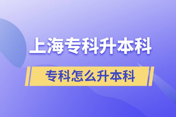 上海?？圃趺瓷究? /></p><p style=