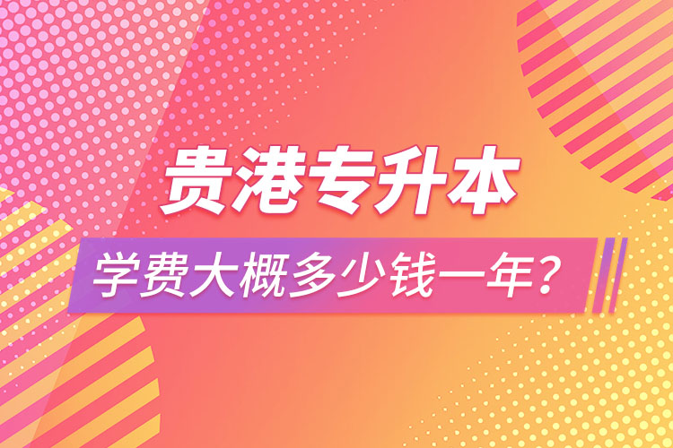 貴港專升本學(xué)費(fèi)大概多少錢一年？