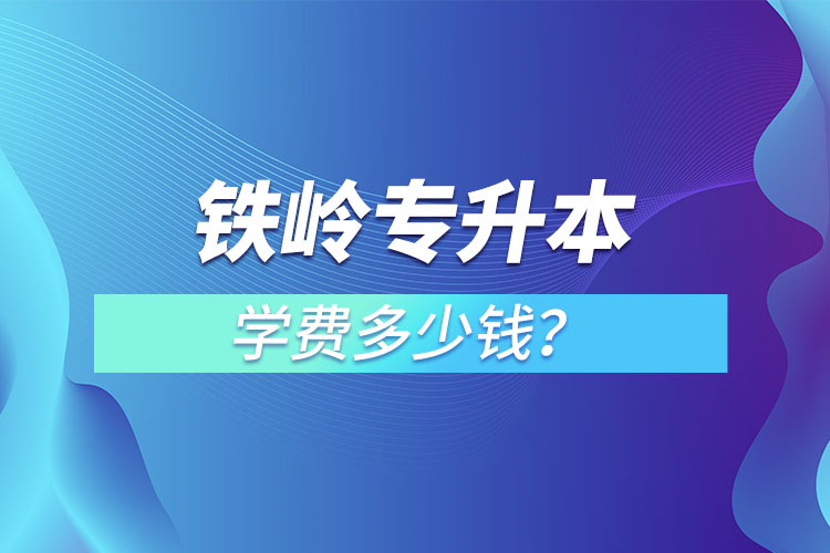 鐵嶺專(zhuān)升本學(xué)費(fèi)大概多少錢(qián)一年？
