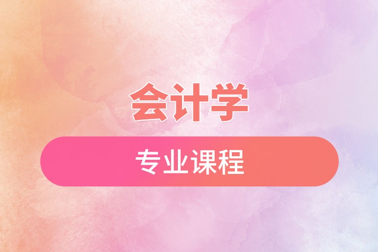 會計(jì)學(xué)專業(yè)課程