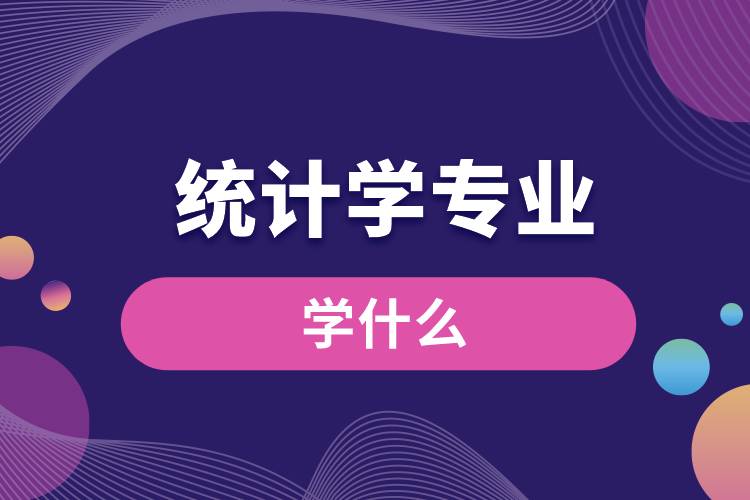 統(tǒng)計(jì)學(xué)專業(yè)學(xué)什么