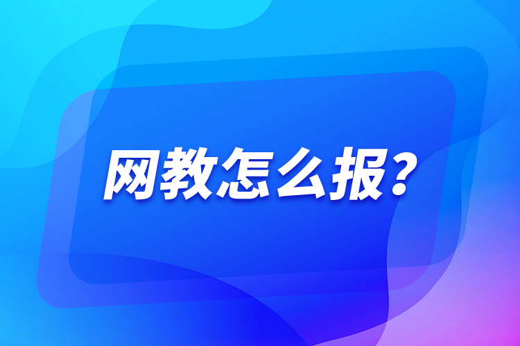 網(wǎng)教怎么報(bào)？