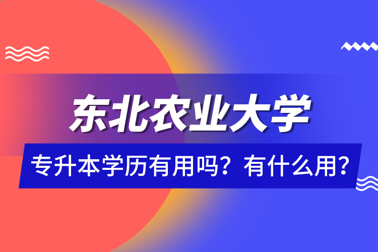 東北農(nóng)業(yè)大學專升本學歷有用嗎？有什么用？