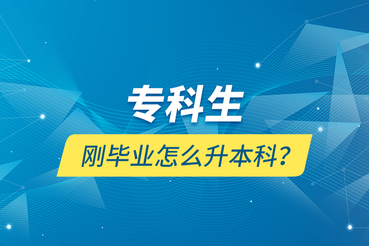 專科生剛畢業(yè)怎么升本科？