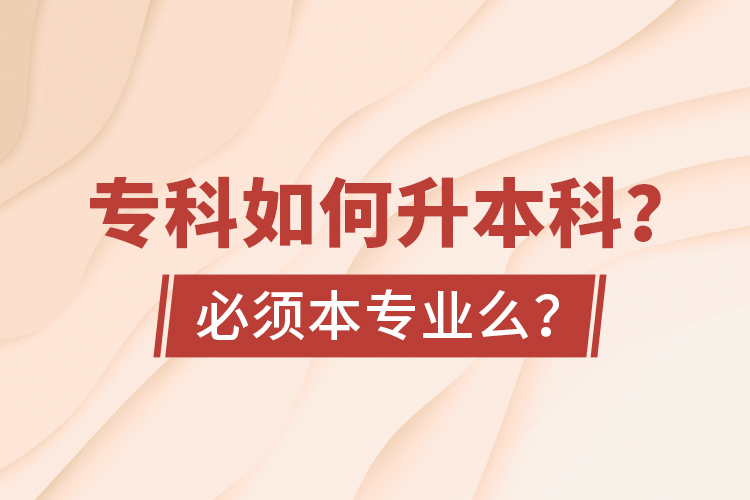 ?？迫绾紊究疲勘仨毐緦I(yè)么？