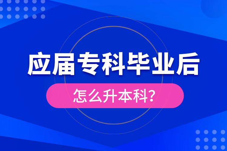 應屆?？飘厴I(yè)后怎么升本科？