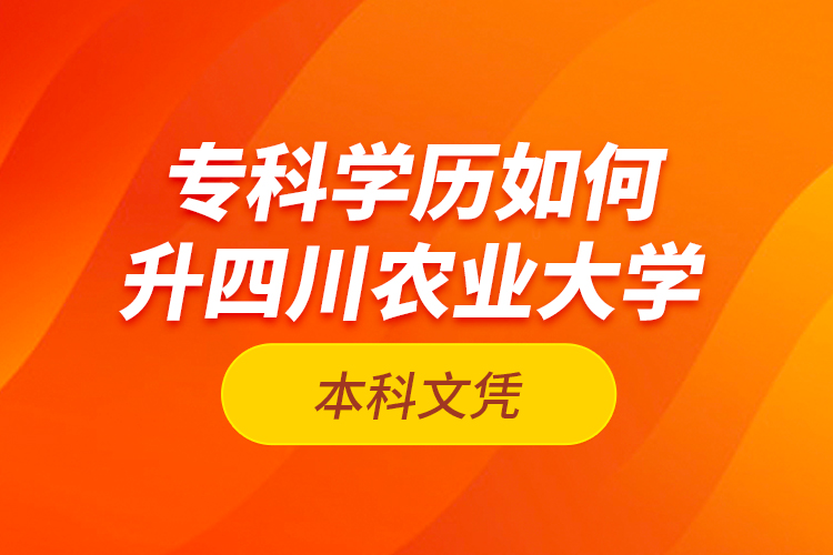 ?？茖W(xué)歷如何升四川農(nóng)業(yè)大學(xué)本科文憑