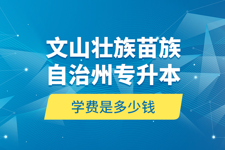 文山壯族苗族自治州專(zhuān)升本學(xué)費(fèi)是多少錢(qián)？