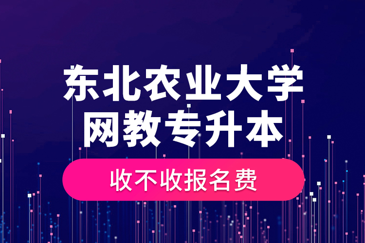 東北農(nóng)業(yè)大學(xué)網(wǎng)教專升本收不收報名費？