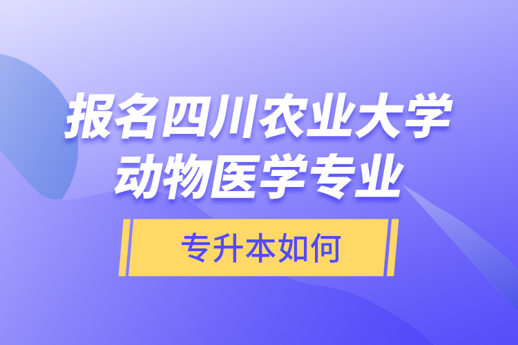 報(bào)名四川農(nóng)業(yè)大學(xué)動(dòng)物醫(yī)學(xué)專業(yè)專升本如何？