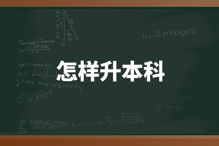 怎樣升本科？